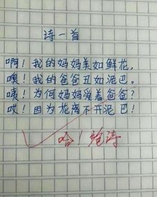 母亲节写给母亲的诗三句话