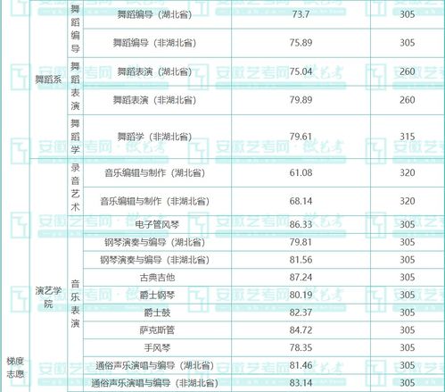 武汉音乐学院音表代码