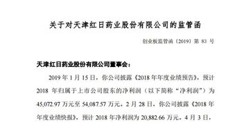 红相公司年报问询函回复透视财务透明度与企业责任