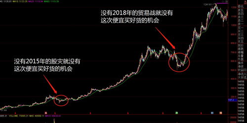 中国数字视频月日起停牌待发表年年度业绩