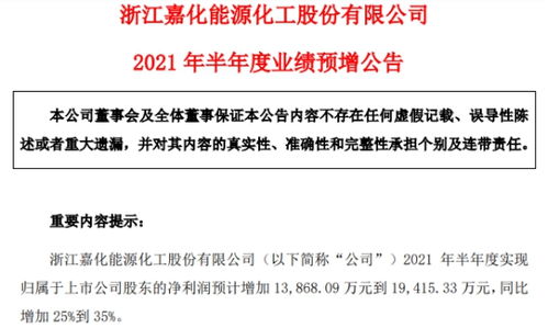 嘉和美康上半年实现营业收入亿元国内电子病历市场中连续十年排名第一