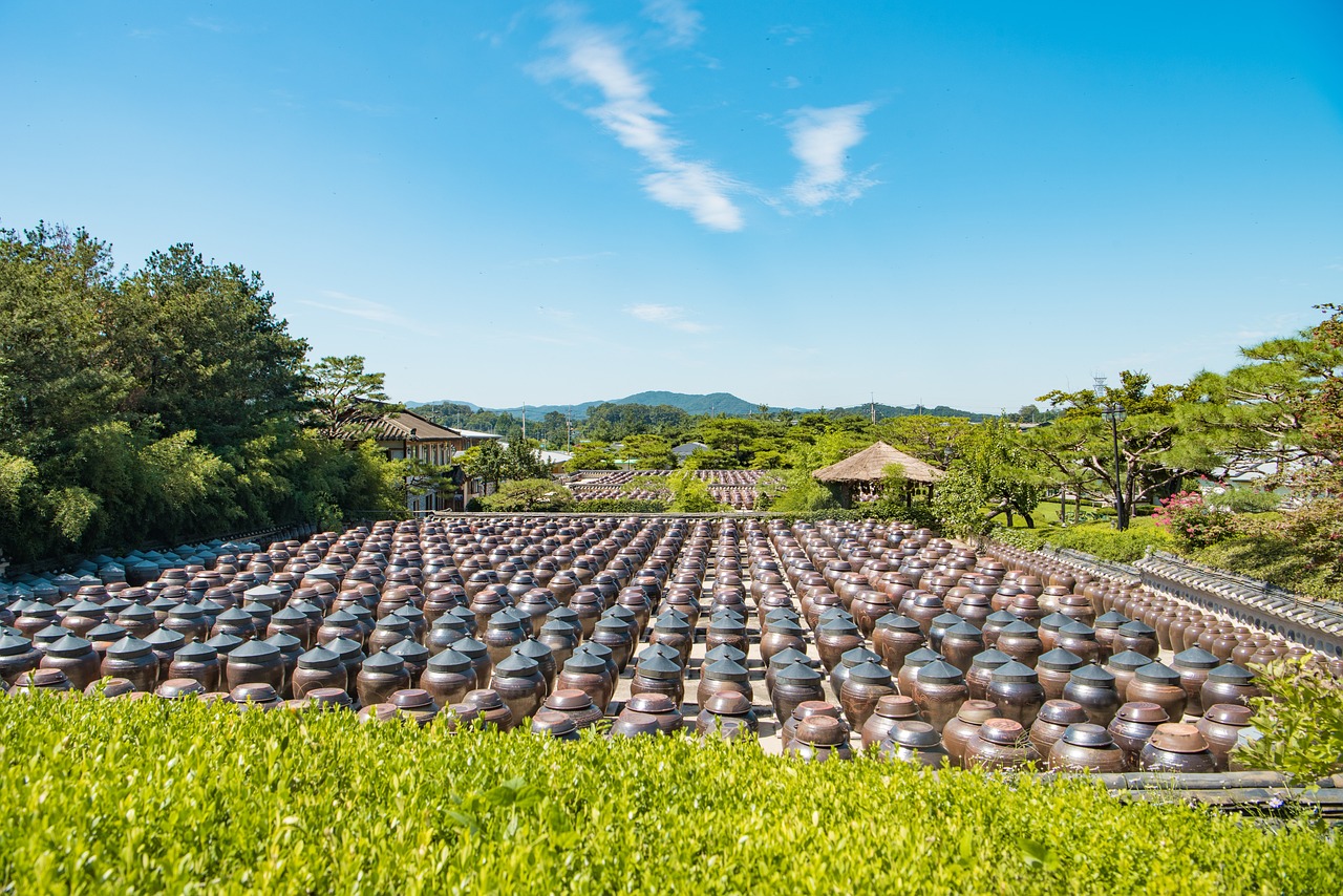 这些是农田里的新丰景