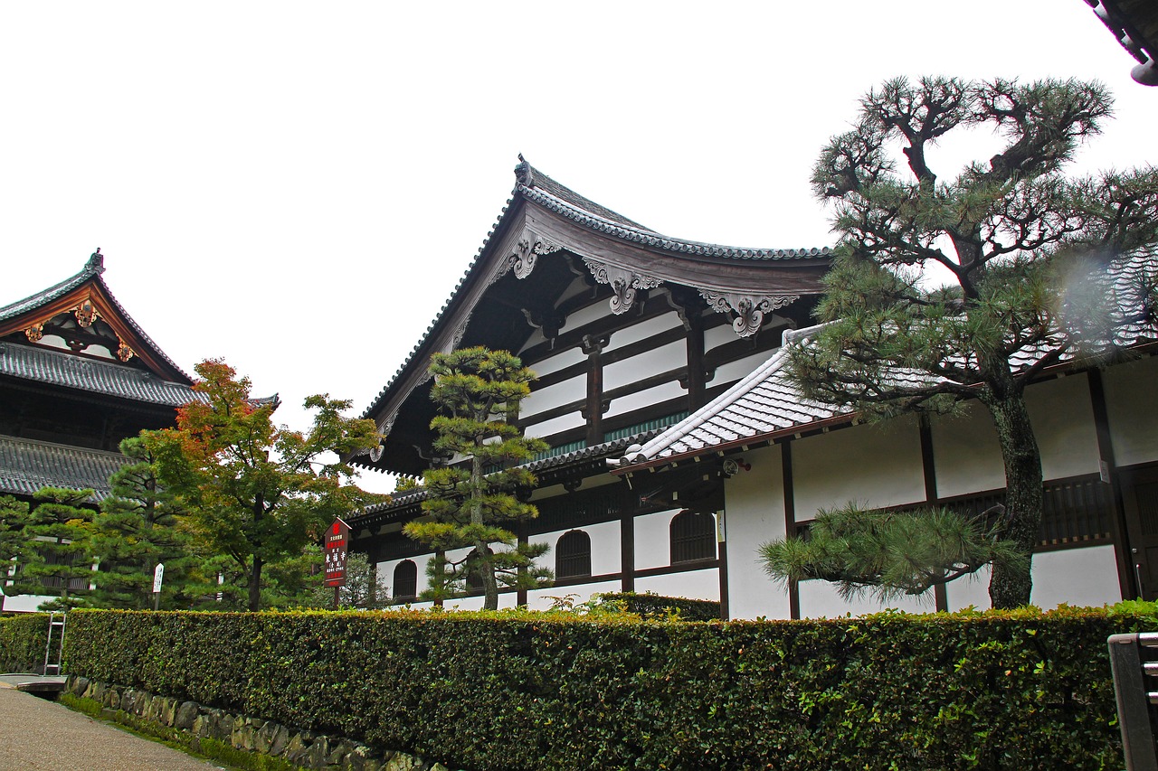 智利女网红在日本神社展现引体向上魅力